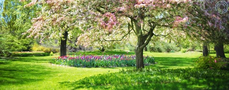 Sobrevive a la primavera: consejos claves para combatir las alergias y disfrutar la estación