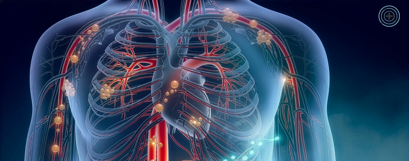 Cómo mejorar la circulación: consejos y hábitos para sentir tus piernas más ligeras y cuidar tu salud vascular