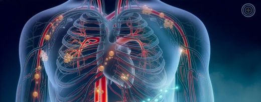 Com millorar la circulació: consells i hàbits per sentir les cames més lleugeres i cuidar la teva salut vascular
