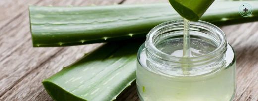 Aloe vera: què és, per a què serveix i per què s'ha convertit en un imprescindible per tenir cura de la pell