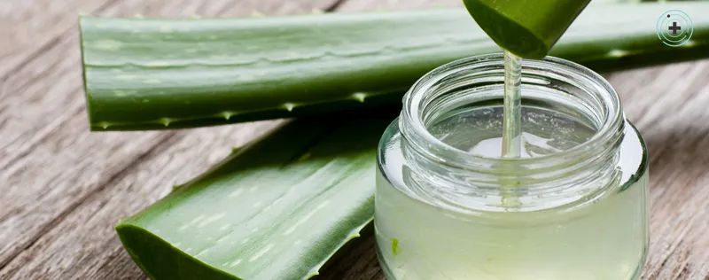 Aloe vera: què és, per a què serveix i per què s'ha convertit en un imprescindible per tenir cura de la pell