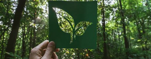 Productos Eco-Friendly en FarmaProxi: Cuida de ti y del planeta