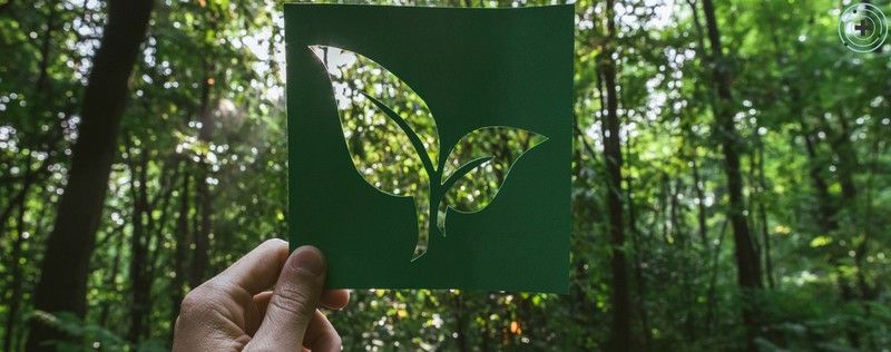 Productos Eco-Friendly en FarmaProxi: Cuida de ti y del planeta