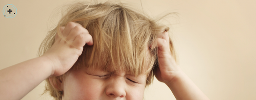 Piojos: cómo eliminarlos de forma efectiva y sin dramas — guía completa para padres y cuidadores