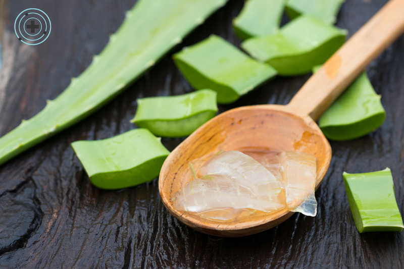 ¿Por qué el aloe vera es tan popular?