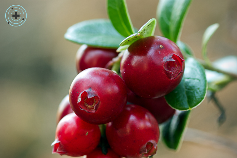 ¿Puede ayudar el arándano rojo?