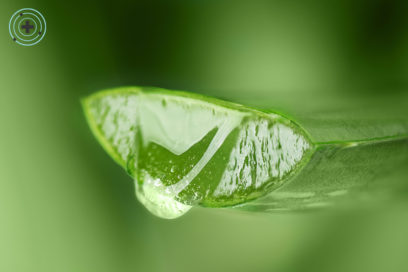 ¿Qué ingredientes son los mejores para reparar la piel?