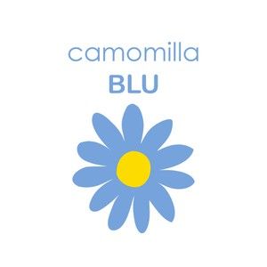 Camomilla Blu