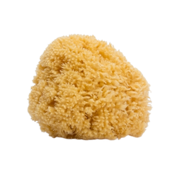 Esponja Natural Grande para Bebe Suavinex