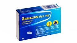 Termalgin 650 Mg 20 Comp